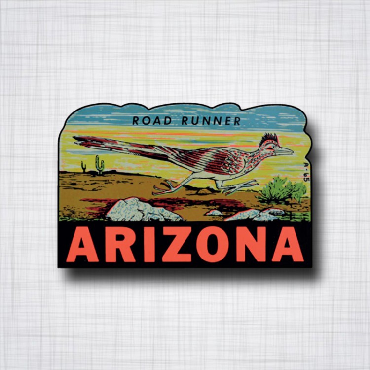 Arizona Road Runner