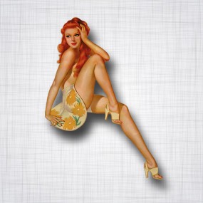 Pin-up Rousse Droit