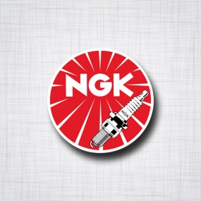 NGK Spark Plugs