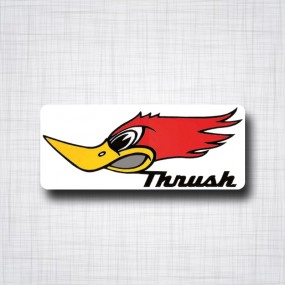 Thrush