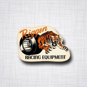 Riggen Racing Equipment