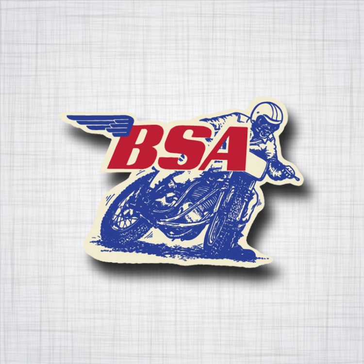 BSA Dirt Track